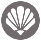 13_molluschio